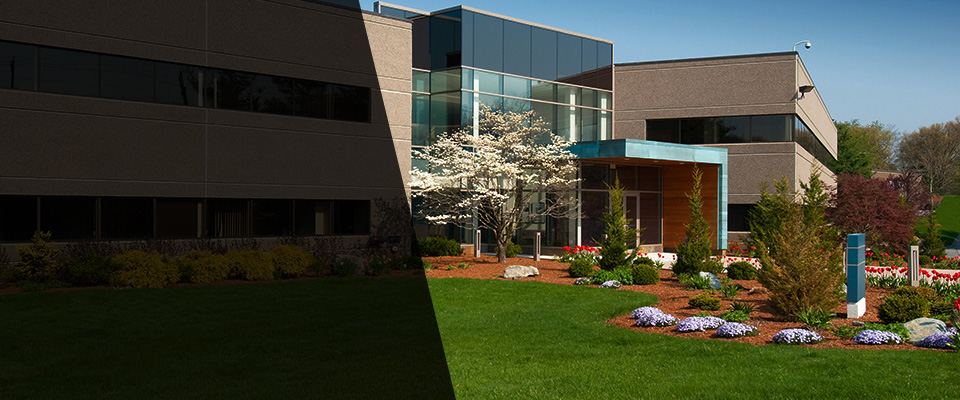 Pauma Valley Landscapers