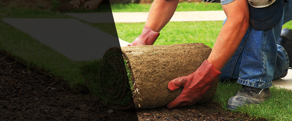 Pauma Valley Landscapers